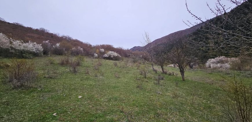 იყიდება მიწის ნაკვეთი გორის რაიონ, სოფ. ღვარებში