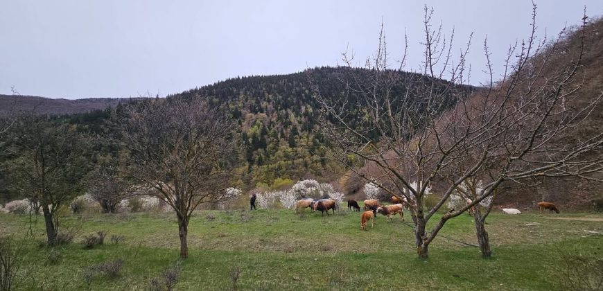 იყიდება მიწის ნაკვეთი გორის რაიონ, სოფ. ღვარებში