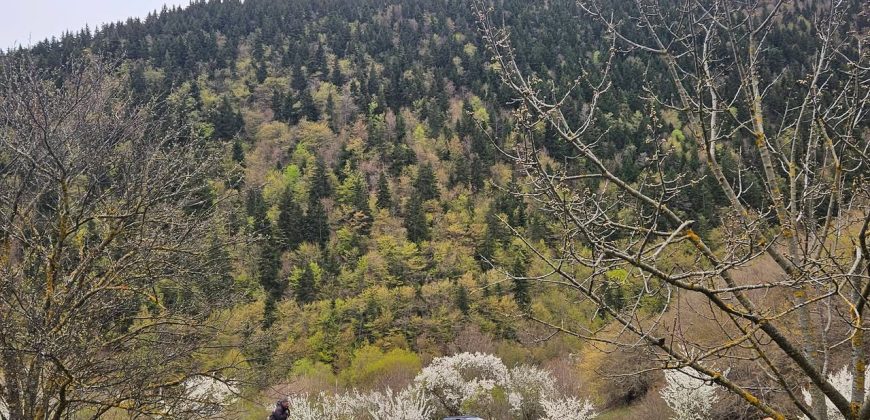 იყიდება მიწის ნაკვეთი გორის რაიონ, სოფ. ღვარებში