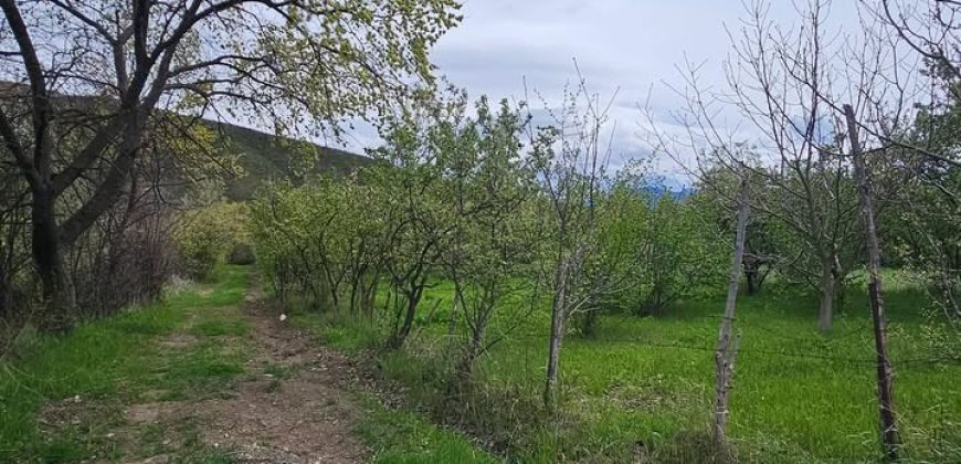 იყიდება მიწის ნაკვეთი გორის რაიონ, სოფ. ბერბუკში