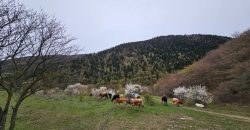 იყიდება მიწის ნაკვეთი გორის რაიონ, სოფ. ღვარებში