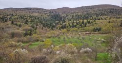 იყიდება მიწის ნაკვეთი გორის რაიონ, სოფ. ღვარებში