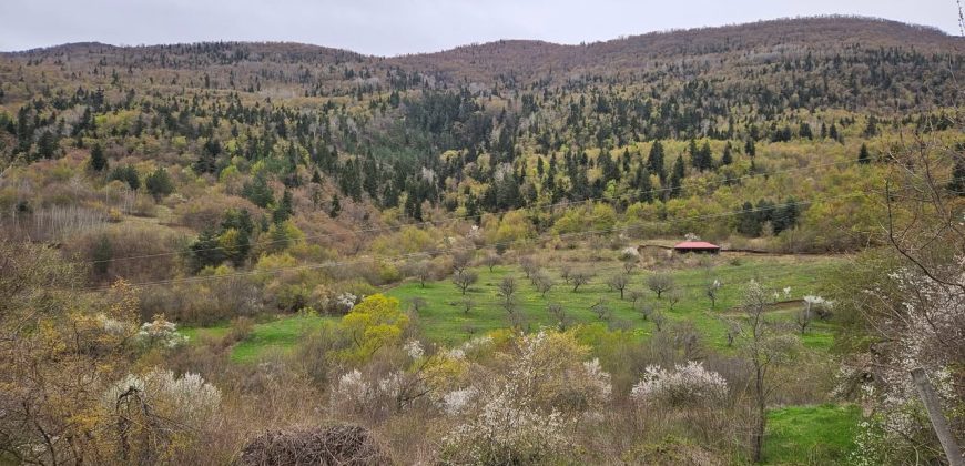 იყიდება მიწის ნაკვეთი გორის რაიონ, სოფ. ღვარებში