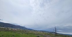 იყიდება მიწის ნაკვეთი გორში