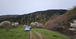 იყიდება მიწის ნაკვეთი გორის რაიონ, სოფ. ღვარებში