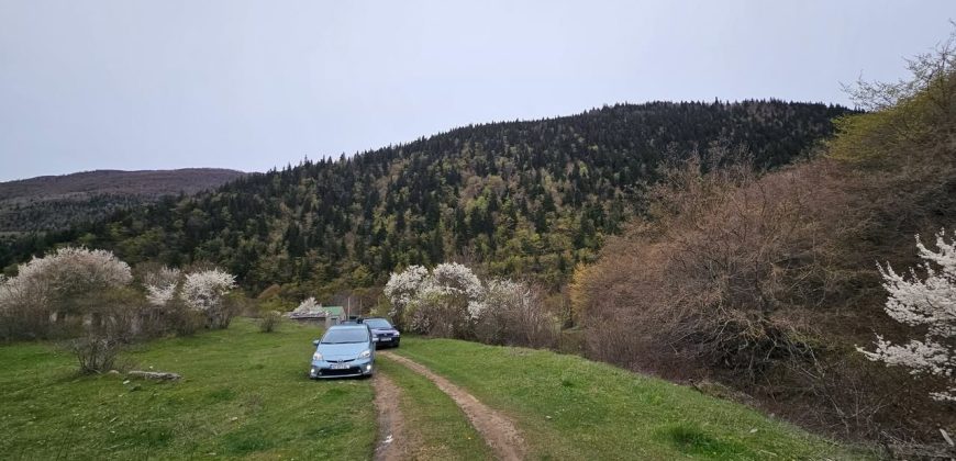 იყიდება მიწის ნაკვეთი გორის რაიონ, სოფ. ღვარებში