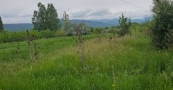 იყიდება მიწის ნაკვეთი გორის რაიონ, სოფ. ბერბუკში