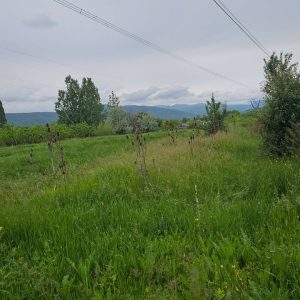 იყიდება მიწის ნაკვეთი გორის რაიონ, სოფ. ბერბუკში