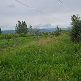 იყიდება მიწის ნაკვეთი გორის რაიონ, სოფ. ბერბუკში