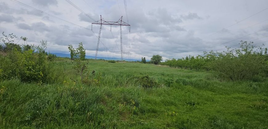 იყიდება მიწის ნაკვეთი გორის რაიონ, სოფ. ბერბუკში