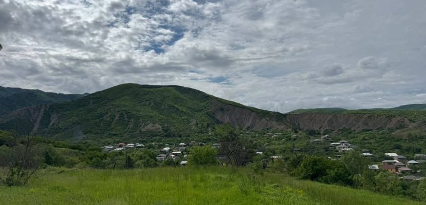 იყიდება მიწის ნაკვეთი გორის რაიონ, სოფ. ატენში