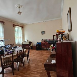 ქირავდება ბინა გორში, ვერხვებზე