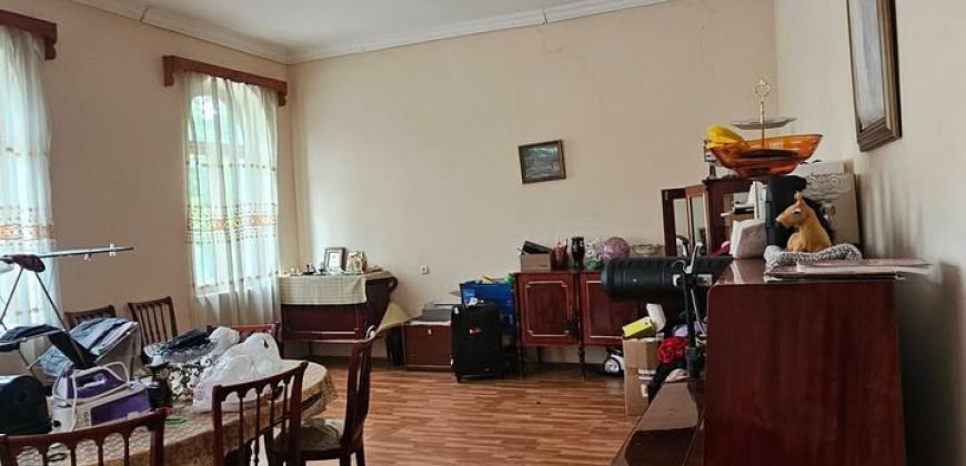 ქირავდება ბინა გორში, ვერხვებზე