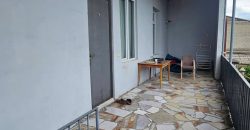 ქირავდება ბინა გორში, ვერხვებზე