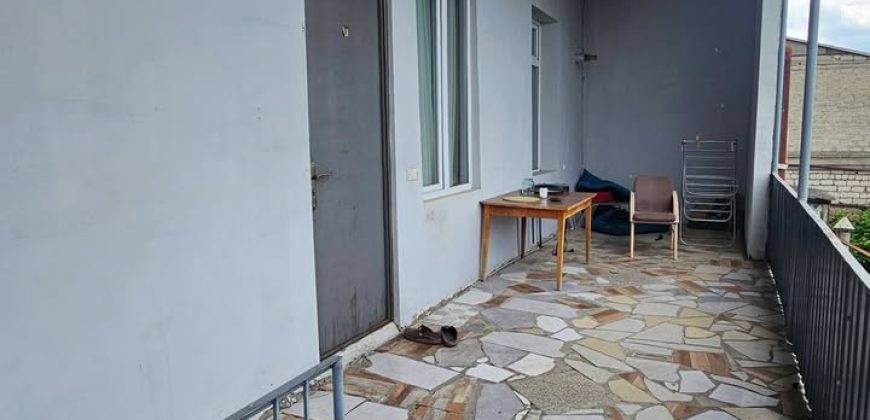 ქირავდება ბინა გორში, ვერხვებზე