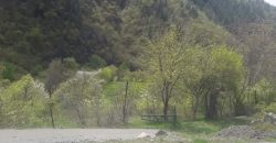 იყიდება მიწის ნაკვეთი გორის რაიონ, სოფ. ბობნევში