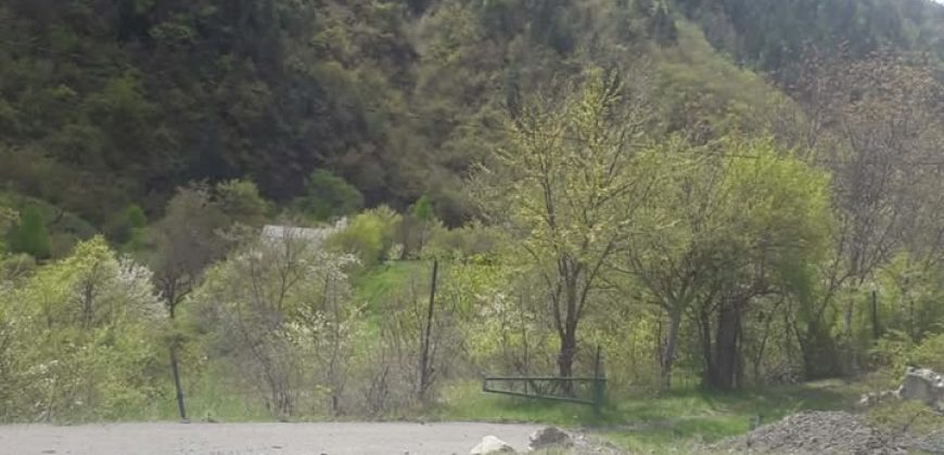 იყიდება მიწის ნაკვეთი გორის რაიონ, სოფ. ბობნევში