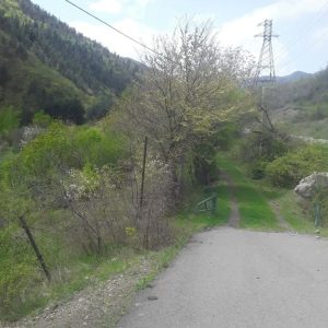 იყიდება მიწის ნაკვეთი გორის რაიონ, სოფ. ბობნევში