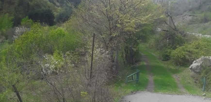 იყიდება მიწის ნაკვეთი გორის რაიონ, სოფ. ბობნევში