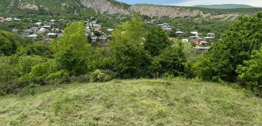 იყიდება მიწის ნაკვეთი გორის რაიონ, სოფ. ატენში