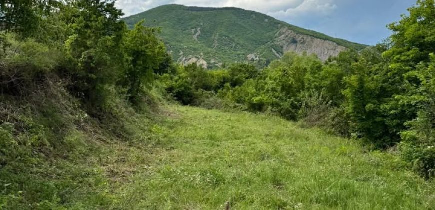 იყიდება მიწის ნაკვეთი გორის რაიონ, სოფ. ატენში