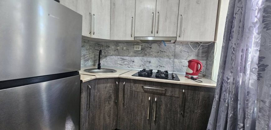 ქირავდება 1 ოთახიანი ბინა გორში