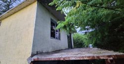 იყიდება სახლი მიწის ნაკვეთით ოზურგეთის რაიონ, სოფ. წვერმაღალაში