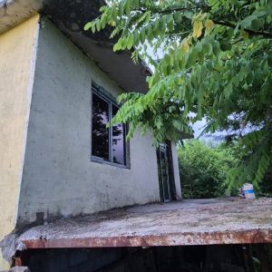 იყიდება სახლი მიწის ნაკვეთით ოზურგეთის რაიონ, სოფ. წვერმაღალაში