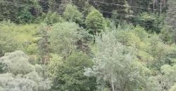 იყიდება ბინა ბორჯომში