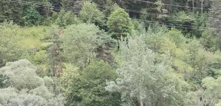 იყიდება ბინა ბორჯომში